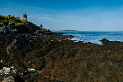 West Quoddy Head Light at Low Tide in Downeast Maine